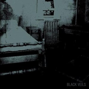 Black Veils (Split)
