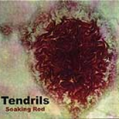 Tendrils