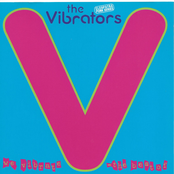 The Vibrators: We Vibrate (The Best Of)