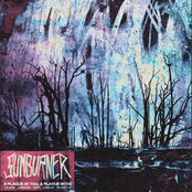 A Plague in You, A Plague in Me