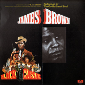 White Lightning (i Mean Moonshine) by James Brown