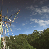 In The Yarra Valley & On Phillip Island