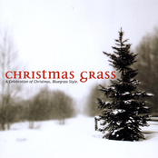Christmas Grass
