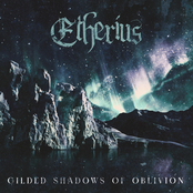 Gilded Shadows of Oblivion