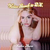 Venice Beach to D.C.