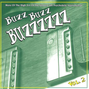 Buzz Buzz Buzzzzzz Vol.2: More of the High Art of the Groovy '60s Psychedelic Instrumental