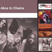Brush Away by Alice In Chains