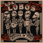Canto A Veracruz by Los Lobos