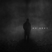 Mr. Grey