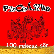 Pinceászka