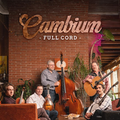 Full Cord: Cambium