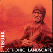 Electronic Landscape