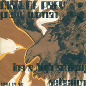 Bird Of Prey / Pretty Woman