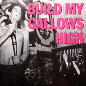 Build My Gallows High