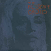 The Red Scare / Orchid