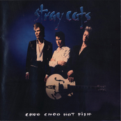 Cross Of Love by Stray Cats