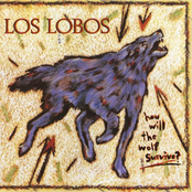 A Matter Of Time by Los Lobos