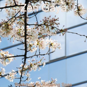 Backdrop for Relaxing Spas