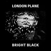 London Plane: Bright Black