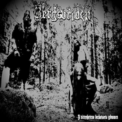 I Vitterhetens Becksvarta Gömmen