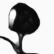 Morbo Y Rarezas  (2002)