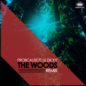 Probcause: The Woods (Remix) [feat. Lil Dicky]