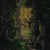 The Green Enchanted Forest of the Druid Wizard