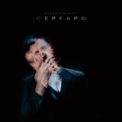 Merab Amzoevi: Серебро