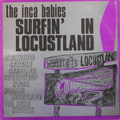 Surfin' in Locustland