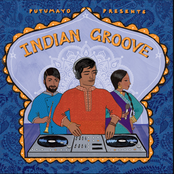 Putumayo Presents Indian Groove