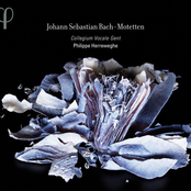 Bach: Motetten, BWV 225-230