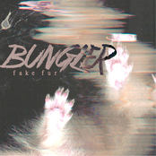 Bungler: Fake Fur