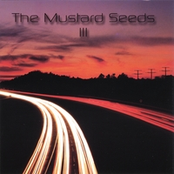 Maybe Next Year by The Mustard Seeds