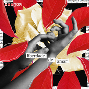 Liberdade de Amar
