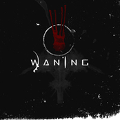 Swarm by Waning