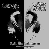Split The Indifference (Geteilte Gleichgültigkeit)