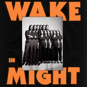 Party Dozen: Wake In Might
