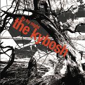 Fly By Night (Single)