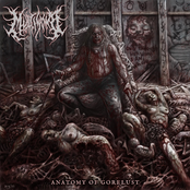 Anatomy of Gorelust