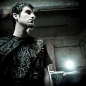 rob swire