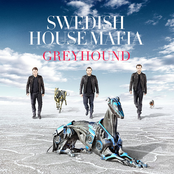 Greyhound by Swedish House Mafia