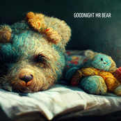Goodnight Mr Bear
