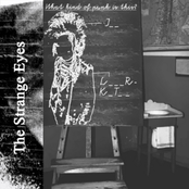 What kind of Punk is this?