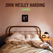 Window Seat by John Wesley Harding