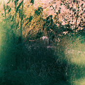 Death Will Come and It Will Have Your Eyes