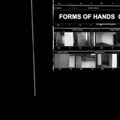 Forms of Hands 08