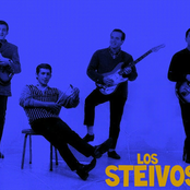 los steivos