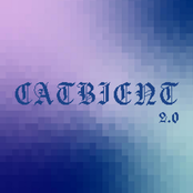 Catbient 2.0 (S l o w e d)
