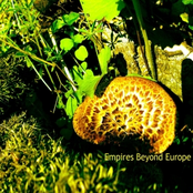 Empires Beyond Europe