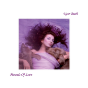Running Up That Hill (a Deal With God) by Kate Bush
